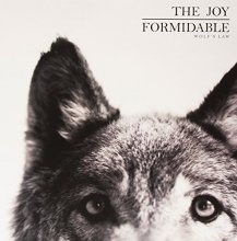 Cover art for Wolfs Law