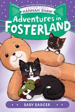 Cover art for Baby Badger (Adventures in Fosterland)