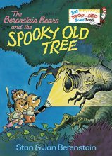 Cover art for The Berenstain Bears and the Spooky Old Tree (Big Bright & Early Board Book)