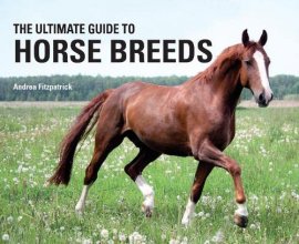 Cover art for The Ultimate Guide to Horse Breeds