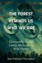 Cover art for The Forest Reminds Us Who We Are: Connecting to the Living Medicine of Wild Plants