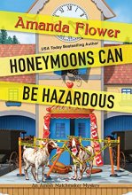 Cover art for Honeymoons Can Be Hazardous (An Amish Matchmaker Mystery)