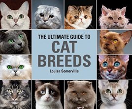 Cover art for The Ultimate Guide To Cat Breeds: A useful means of identifying the cat breeds of the world and how to care for them