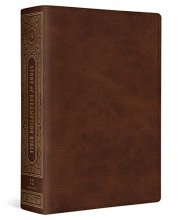 Cover art for ESV Story of Redemption Bible: A Journey through the Unfolding Promises of God (TruTone, Brown)