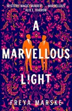 Cover art for A Marvellous Light