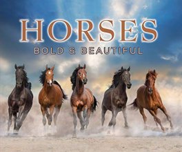 Cover art for Horses: Bold and Beautiful