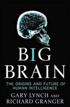 Cover art for Big Brain: The Origins and Future of Human Intelligence (MacSci)