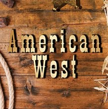 Cover art for American West