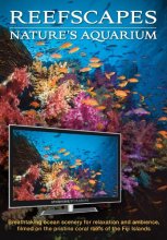 Cover art for Reefscapes: Nature's Aquarium DVD, nature video of tropical fish and coral reefs filmed in the ocean, for relaxation and ambience
