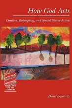 Cover art for How God Acts: Creation, Redemption, and Special Divine Action (Theology and the Sciences)