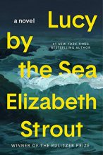 Cover art for Lucy by the Sea: A Novel