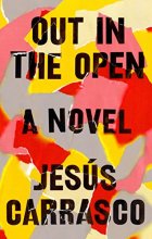 Cover art for Out in the Open: A Novel