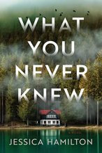 Cover art for What You Never Knew: A Novel