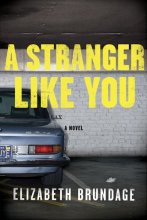 Cover art for A Stranger Like You: A Novel