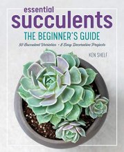 Cover art for Essential Succulents: The Beginner's Guide