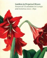 Cover art for Gardens in Perpetual Bloom: Botanical Illustration in Europe and America 1600-1850