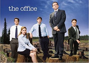Cover art for The Office 1000 Pieces Jigsaw Puzzle