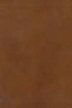 Cover art for New Spirit-Filled Life Bible, New King James Version: Kingdom Equipping Through the Power of the Word, British Tan, Genuine Leather