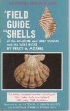 Cover art for A Field Guide to Shells of the Atlantic and Gulf Coasts and the West Indies (The Peterson Field Guide Series ; 3)