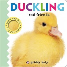 Cover art for Duckling and Friends Touch and Feel (Baby Touch and Feel)