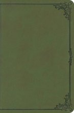 Cover art for ESV Compact Bible (TruTone, Avocado, Frame Design)