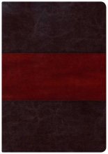 Cover art for Holman Study Bible: NKJV Large Print Edition, Saddle Brown LeatherTouch