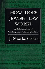 Cover art for How Does Jewish Law Work?: A Rabbi Analyzes 95 Contemporary Halachic Questions