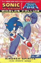 Cover art for Sonic / Mega Man: Worlds Collide 1