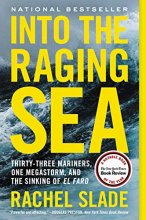 Cover art for Into the Raging Sea: Thirty-Three Mariners, One Megastorm, and the Sinking of El Faro
