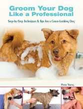 Cover art for Groom Your Dog Like a Professional: Step-By-Step Techniques and Tips for a Great Looking Dog
