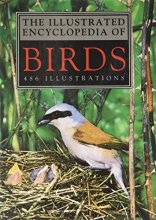 Cover art for The Illustrated Encyclopedia of Birds