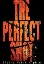 Cover art for The Perfect Shot (Young Adult Fiction)