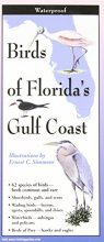 Cover art for Birds of Florida's Gulf Coast: Folding Guide (Foldingguides)