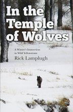 Cover art for In the Temple of Wolves: A Winter's Immersion in Wild Yellowstone