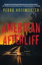 Cover art for American Afterlife: A Novel