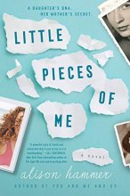 Cover art for Little Pieces of Me: A Novel
