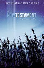 Cover art for NIV, Outreach New Testament, Large Print, Paperback