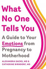 Cover art for What No One Tells You: A Guide to Your Emotions from Pregnancy to Motherhood