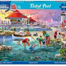 Cover art for White Mountain Puzzles - Tide Pool Seek & Find - 1000 Piece Jigsaw Puzzle