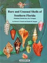 Cover art for Rare & Unusual Shells of Southern Florida