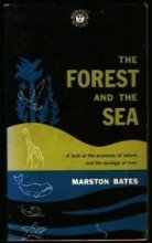 Cover art for The Forest and the Sea