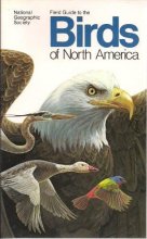 Cover art for Field Guide to the Birds of North America