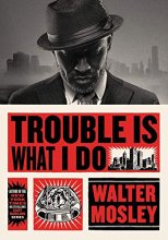 Cover art for Trouble Is What I Do (Leonid McGill)
