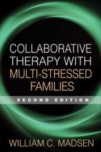 Cover art for Collaborative Therapy with Multi-Stressed Families (The Guilford Family Therapy Series)