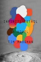 Cover art for Infinite Detail: A Novel