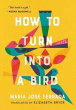 Cover art for How to Turn Into a Bird