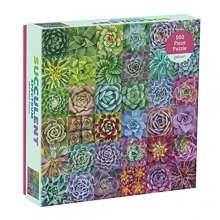 Cover art for Galison Succulent Spectrum Jigsaw Puzzle, 500 Pieces, 20” x 20'' – Challenging Puzzle with Colorful Succulents – Thick, Sturdy Pieces – Perfect for Family Fun – Fun Indoor Activity, Multicolor