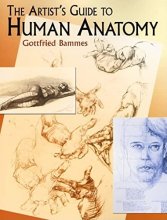 Cover art for The Artist's Guide to Human Anatomy (Dover Anatomy for Artists)