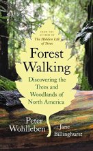 Cover art for Forest Walking: Discovering the Trees and Woodlands of North America