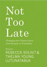 Cover art for Not Too Late: Changing the Climate Story from Despair to Possibility